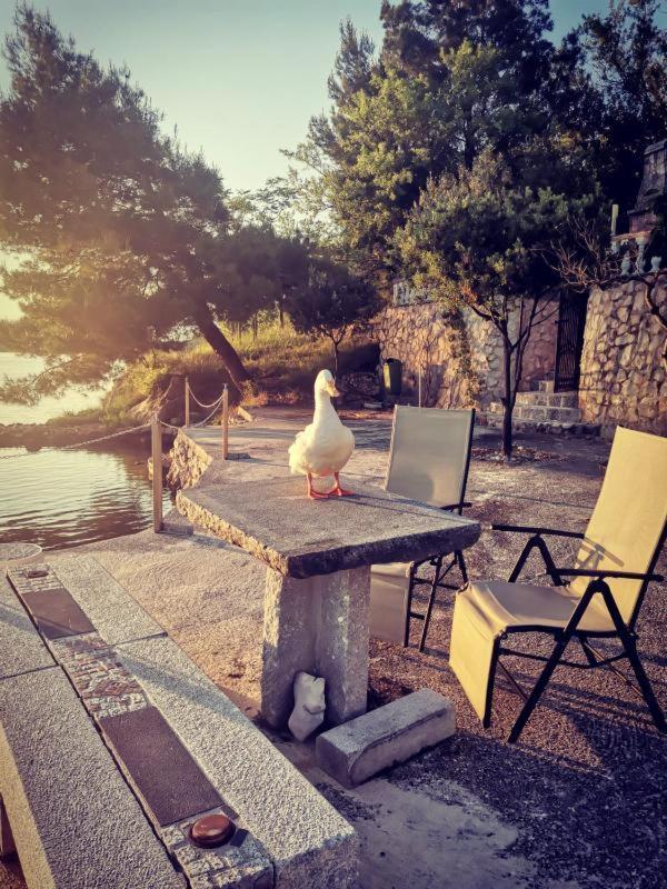 Kamenito Krusevo (Zadar) Exterior photo
